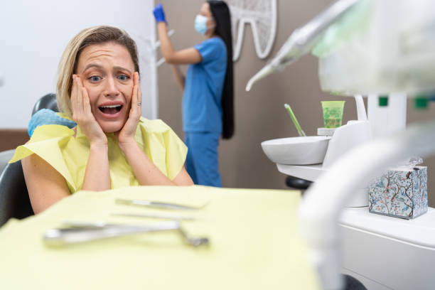 Best 24-Hour Emergency Dental Care in Whitmore Lake, MI